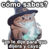 cómo sabes? * geys *yo le dije para que dijera y cayó