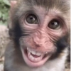 🙈 MONOS MOODS 🙈 6