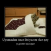 KediliPakıt 8