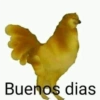 Tumba la casa mami😎 11
