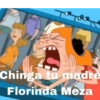 Memes 41 9