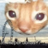MEMES XD  24