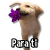 Para ti