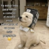 Ya estoy listo para volver a cometer el mismo error, pero ahora sí un poco más preparado THEY