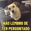 NÃO LEMBRO DE TER PERGUNTADO
