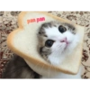 pan pan