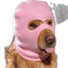 Mascotas Rammdom 14