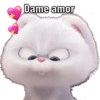 Dame amor