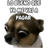 🐕🐶Perrito sin palabras 😬🙁 5
