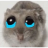 Hamster triste 14