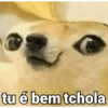 😛 Memes pra responder na Zuera 20