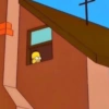 Homero Simpson 💛 13