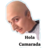 Hola Camarada