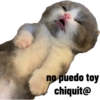 Cinamonroll 11