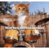 Jajaja que?😂 11