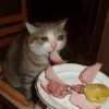 Gatitos Llorando 😭 7