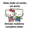 Kitty amor.🩷 14