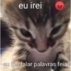 eu irei eu irei falar palavras feias