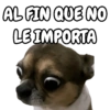 🐕🐶Perrito sin palabras 😬🙁 11