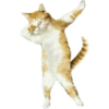 Anomali Lucu 7
