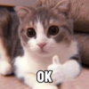 Meme Kucing #3 6
