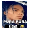 PURA PURA SIGMA