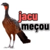 MEMES DIVERSOS 8