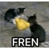 FREN