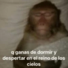 Memes con texto 2 🏝️👀 13