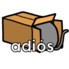 Pack de gatitos 5
