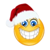Navidad emojis 🎄😍 7