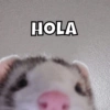 HOLA