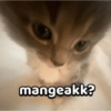 O mangeakk?