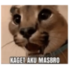 Kucing jomok 7