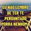 EU NÃO LEMBRO DE TER TE PERGUNTADO PORRA NENHUMA