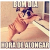 Bom dia engraçado 7