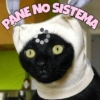 MEMES FANTÁSTICOS 7