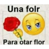 Pack de Memes Bola Amarilla 😂 16