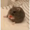Animalitos 😆 22