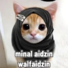 minal aidzin walfaidzin