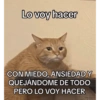 Cinamonroll 19