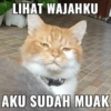 LIHAT WAJAHKU AKU SUDAH MUAK