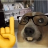 SHITPOSTER! 8