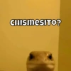 CHISMESITO?