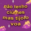 não tenho ciúmes mas tijolo voa