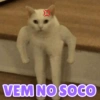 MEMES FANTÁSTICOS 9