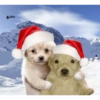 Memes Navideños V1 15