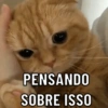 PENSANDO SOBRE ISSO