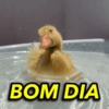 Bom dia e boa noite  12