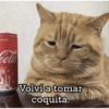Michitos para enviar 😺💘🤭 10